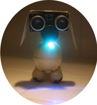 PupRound